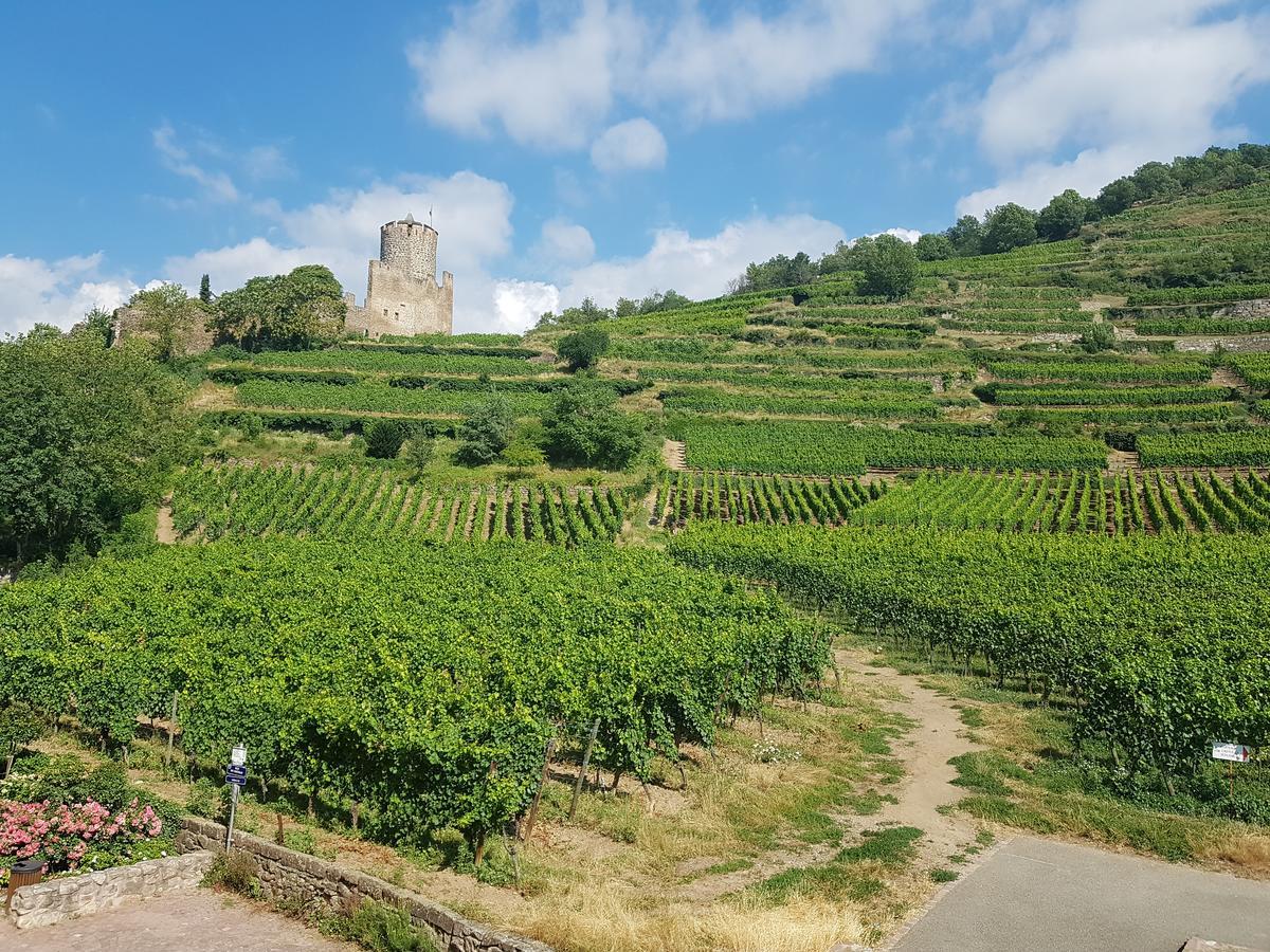 Kaysersberg City Center - Cote Vignoble - Luaran gambar
